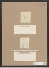 Navicula ellptica var. .... Ktz. (de-Toni-Nr.: Genus 1, Species 298) Zeichnungen Sammlung Grunow Nr. 698 (NHMW-BOT-W0367074)